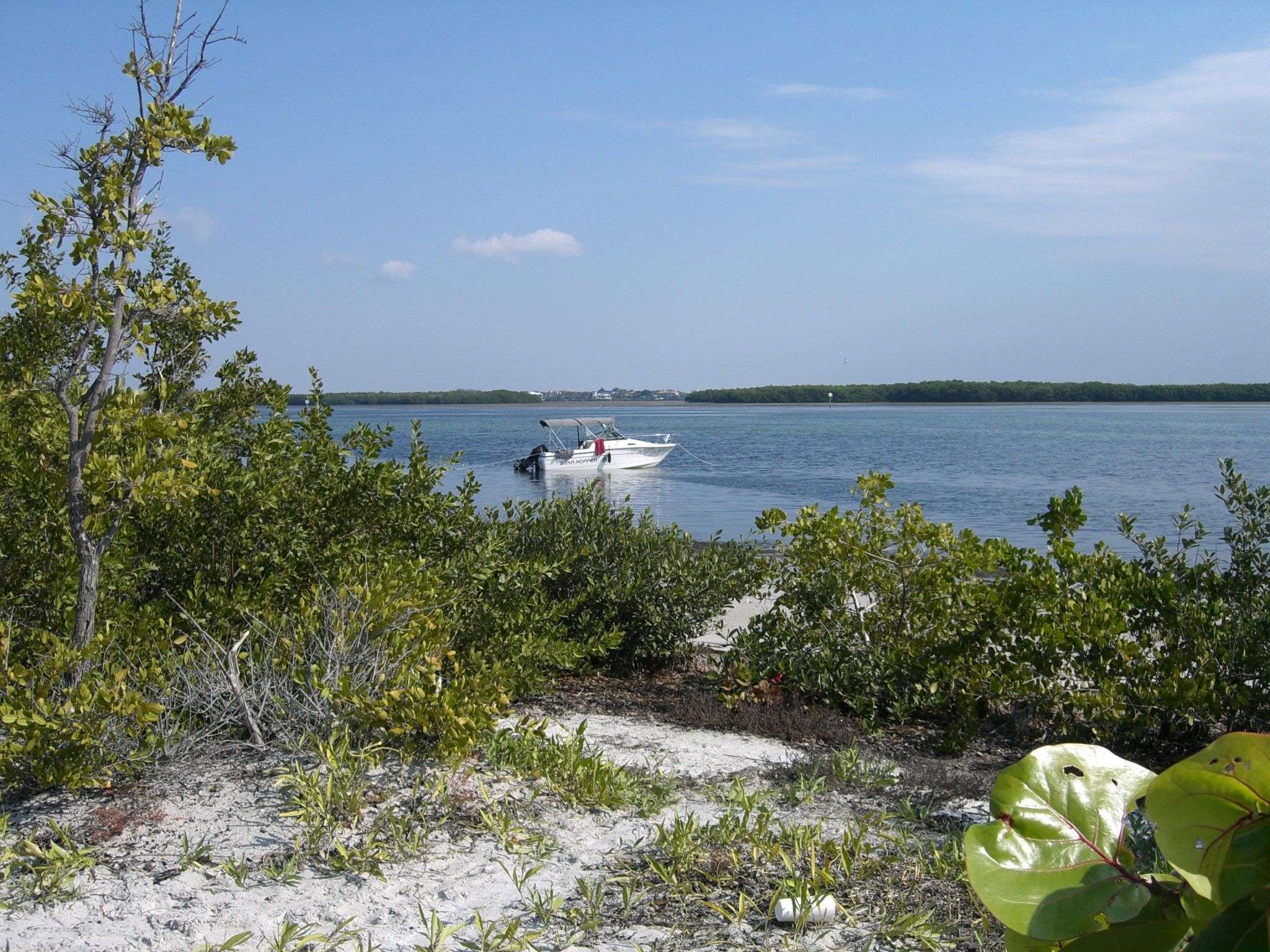 10 Best Camping Spots in Florida!