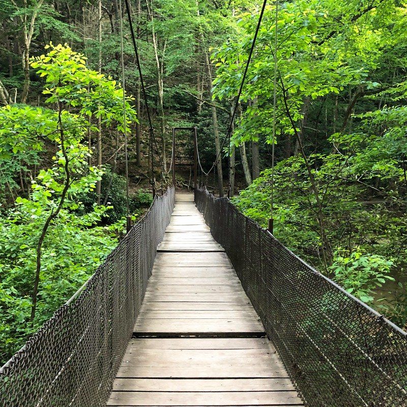 10 Gorgeous Hikes In Western Pennsylvania in 2020