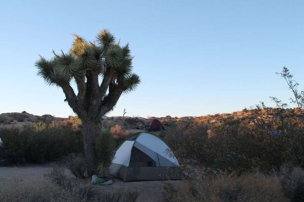 50+ Amazing Spots for Camping in Southern California
