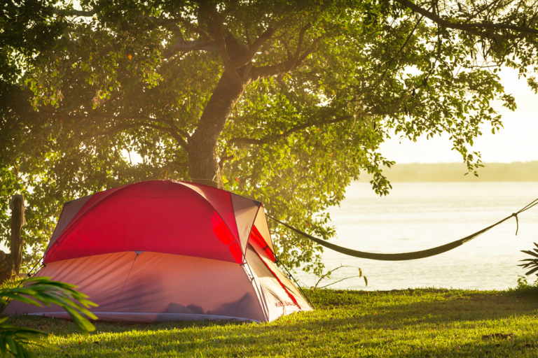 6 Best Campgrounds Near Jacksonville, FL  Mazda City of ...