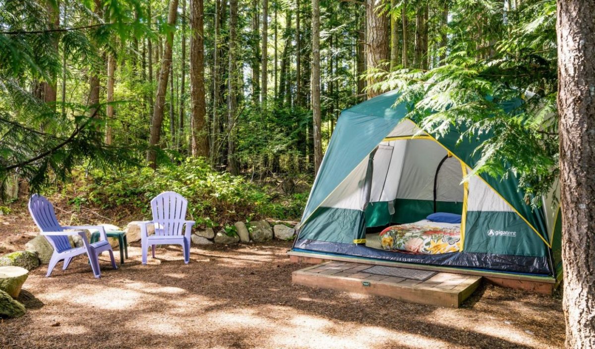 7 Best Tent Camping Locations in Washington DC in 2020