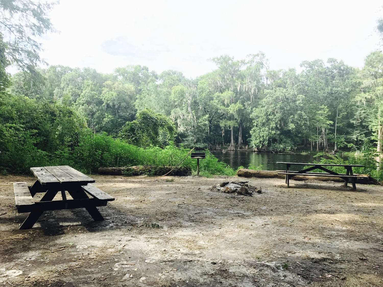 7 Campgrounds for the Best Camping near Gainesville, Florida