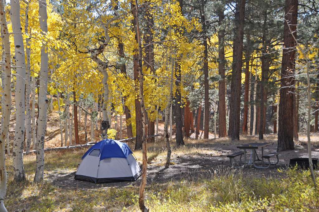 8 Amazing Arizona Camping Spots That Are An Absolute Must See