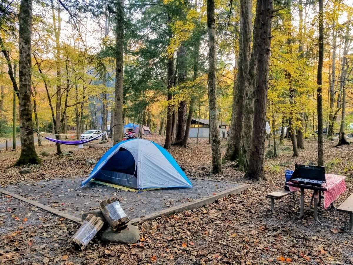 A Detailed Introduction To Elkmont Campground In Great Smoky Mountains ...