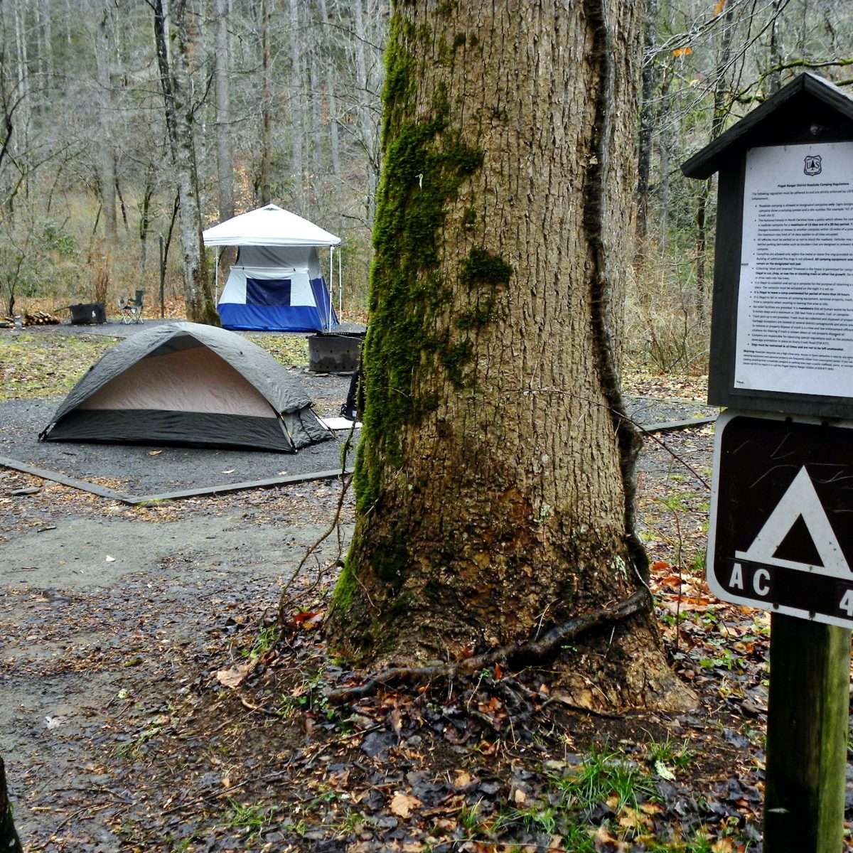 Avery Creek Roadside Camping, NC