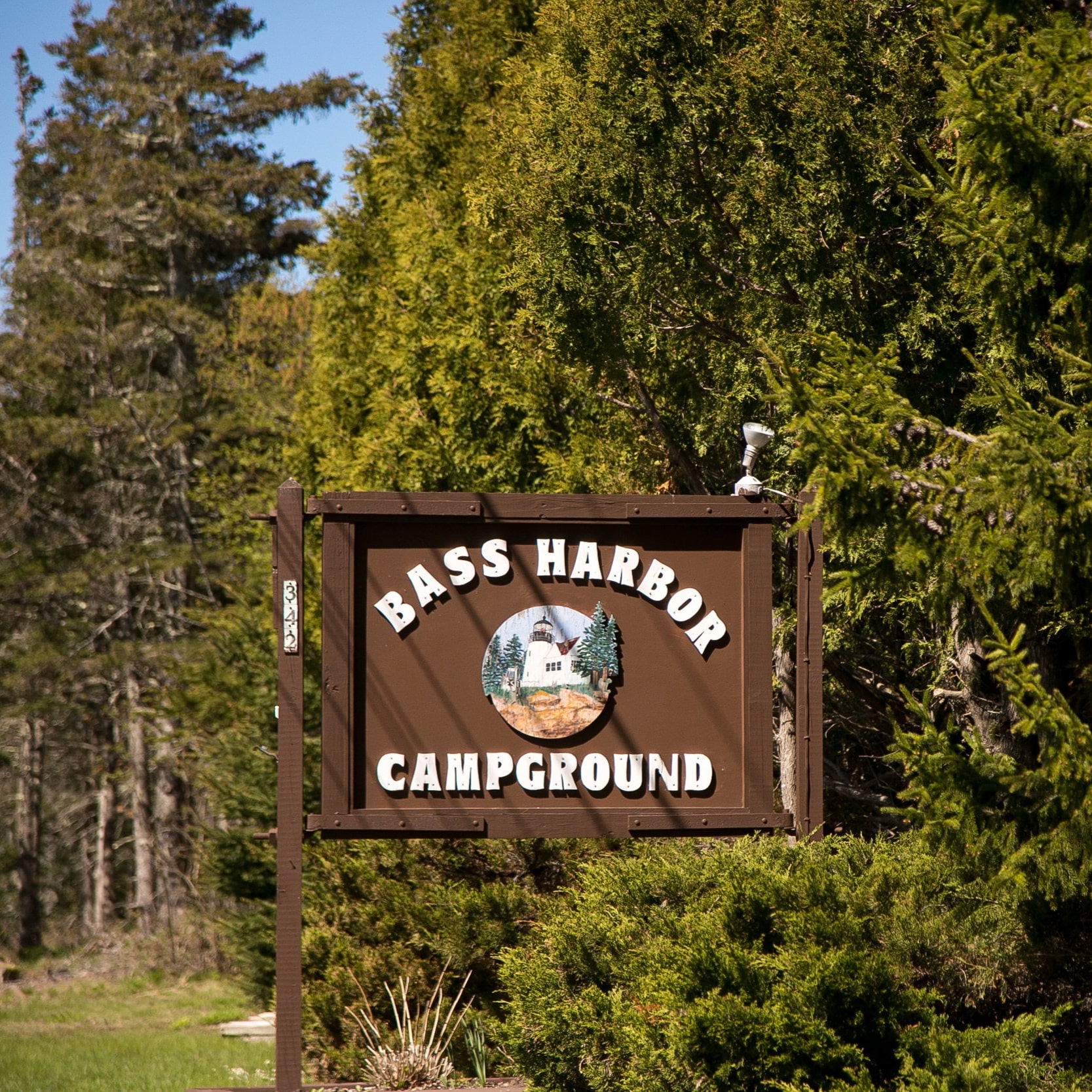 Bass Harbor Campground