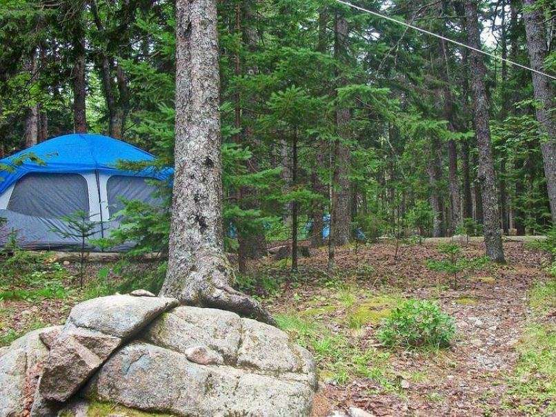 Best Campgrounds in Acadia National Park: Travel Guide ...