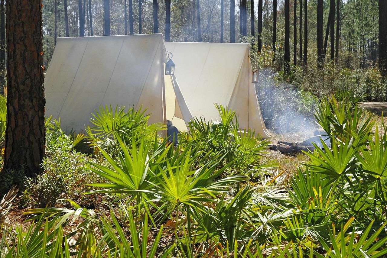 Best Camping Adventures in Florida