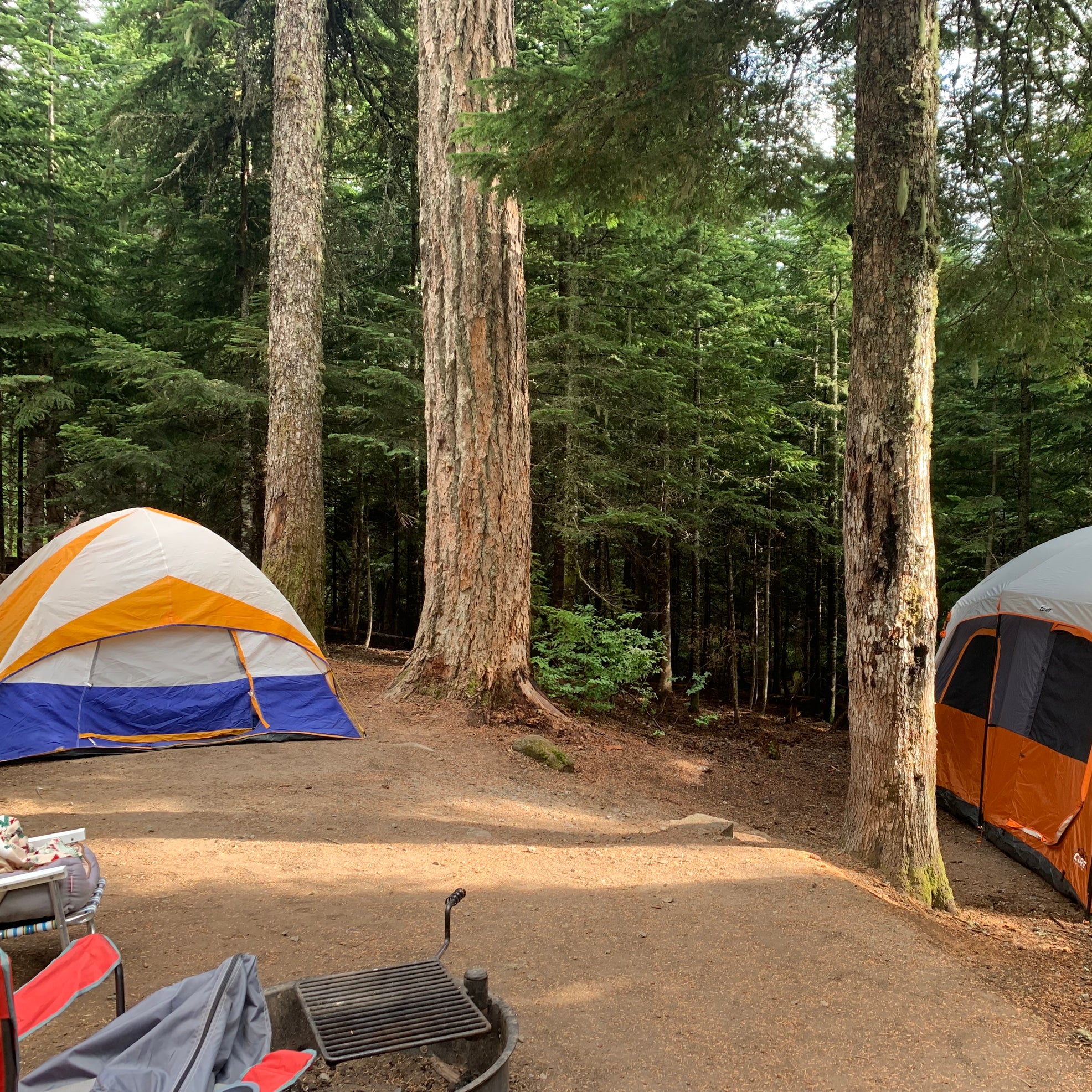 Best camping in Mt Hood National Forest