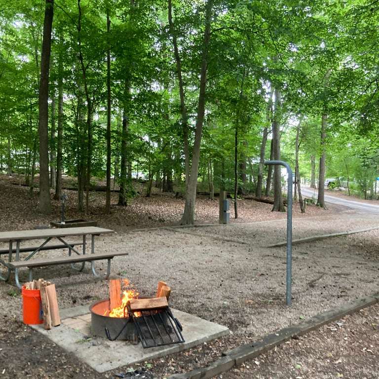 Best camping near Raleigh, North Carolina