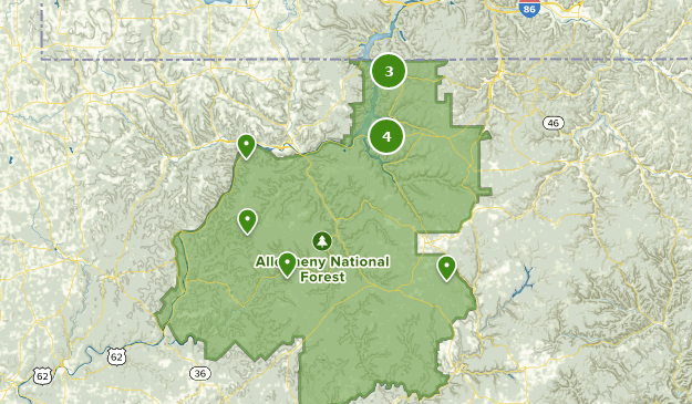 Best Camping Trails in Allegheny National Forest