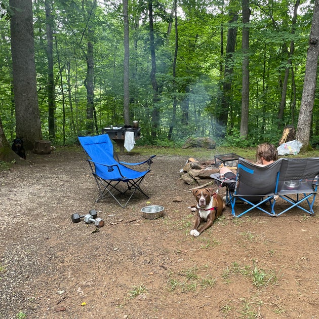 Best dispersed camping in Great Smoky Mountains National Park