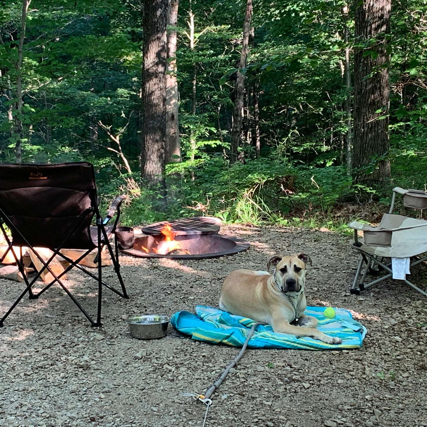 Best dispersed camping in Hoosier National Forest