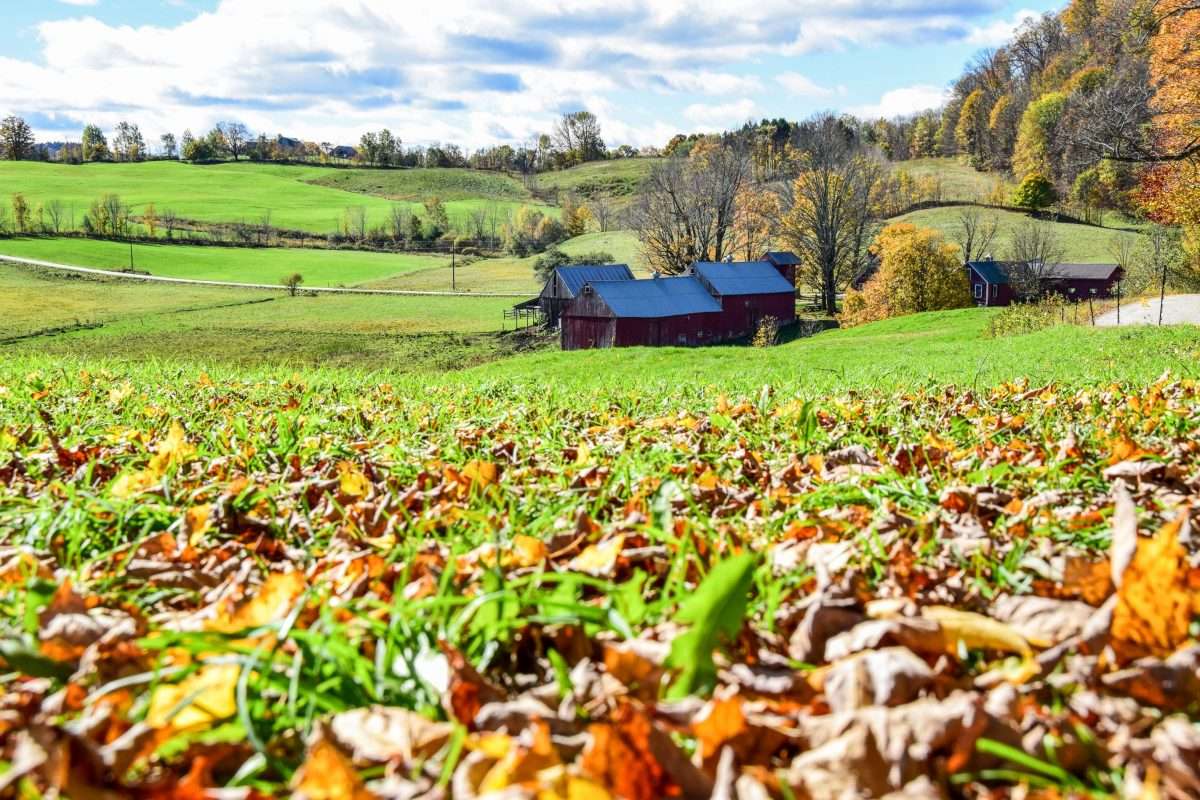 Best Places for Fall Camping in Vermont
