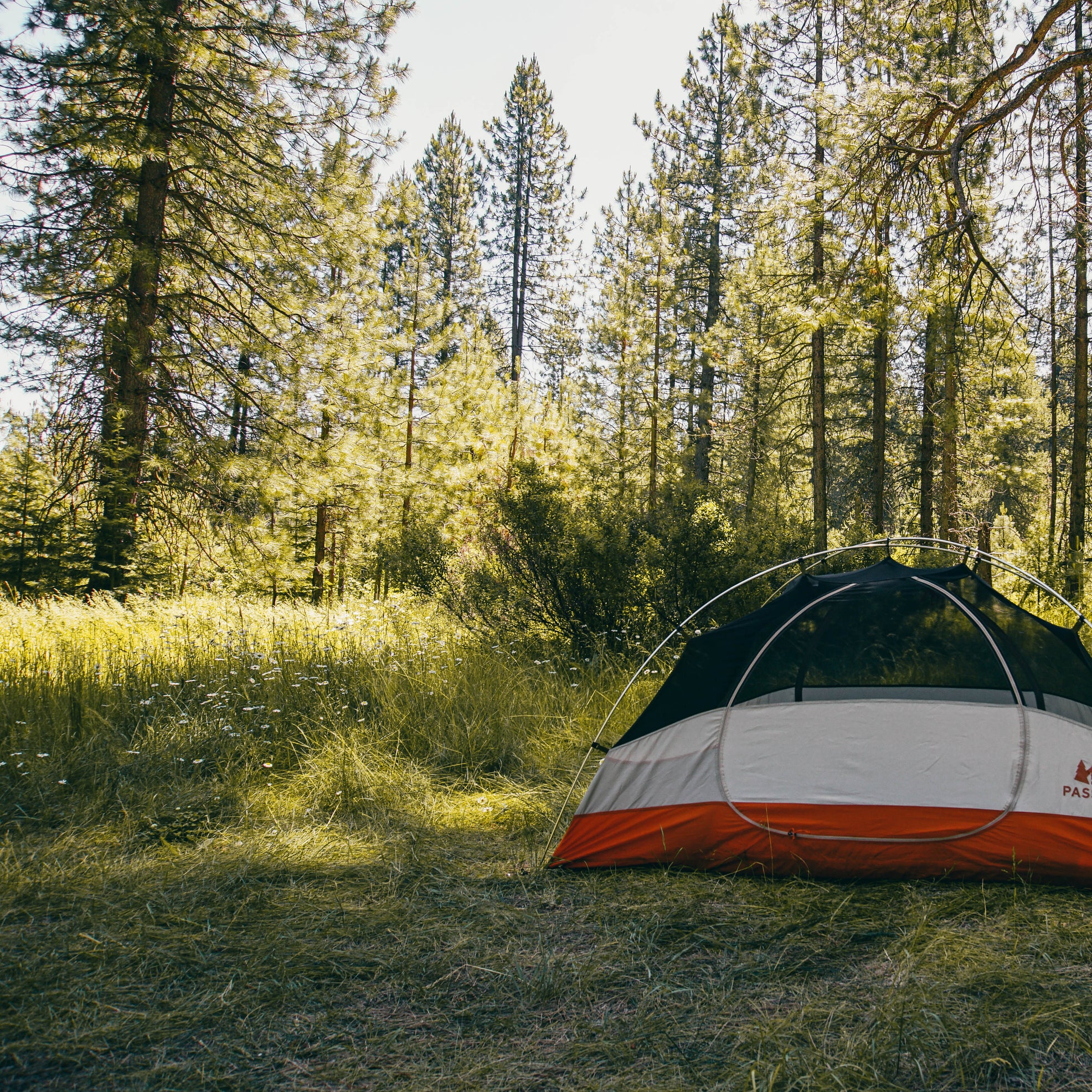 Best tent camping near Shasta Lake, California