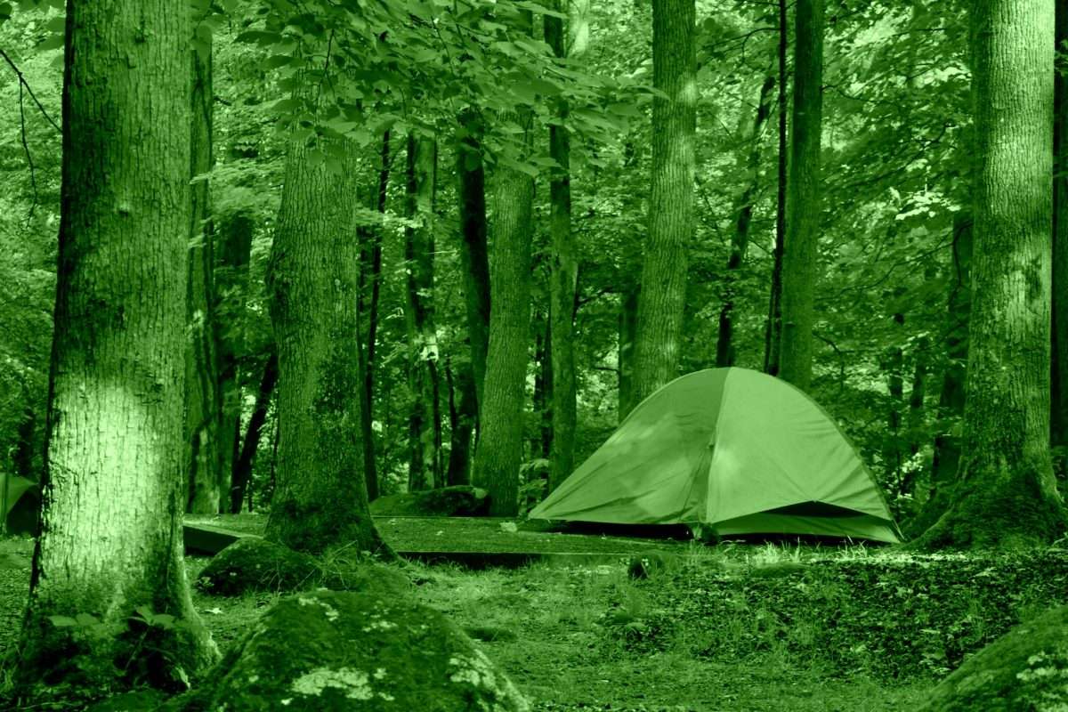 Big Creek Campground (great Smoky Mountains National Park)