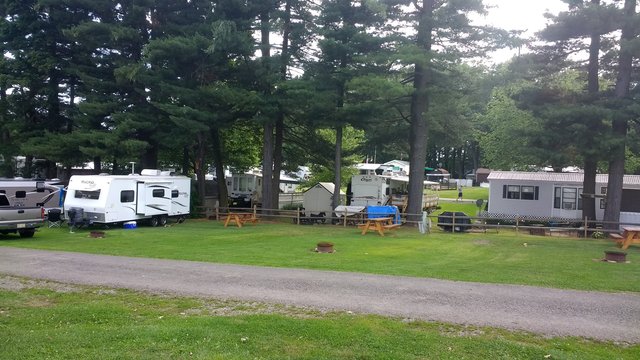 Buttercup Woodlands Campground Reviews
