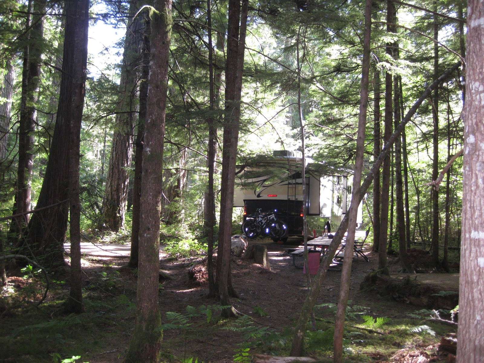 CampgroundCrazy: Newhalem Campground, North Cascades ...