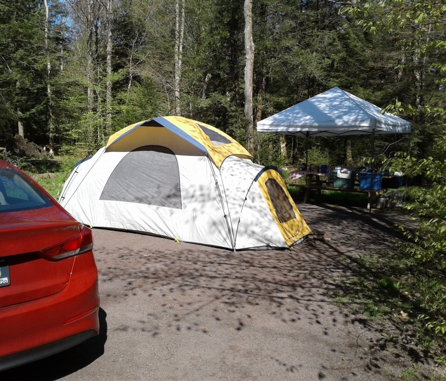 Camping at Ricketts Glen  Umbrella Terms