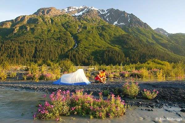 camping, Chugach National Forest, Kenai Fjords National ...