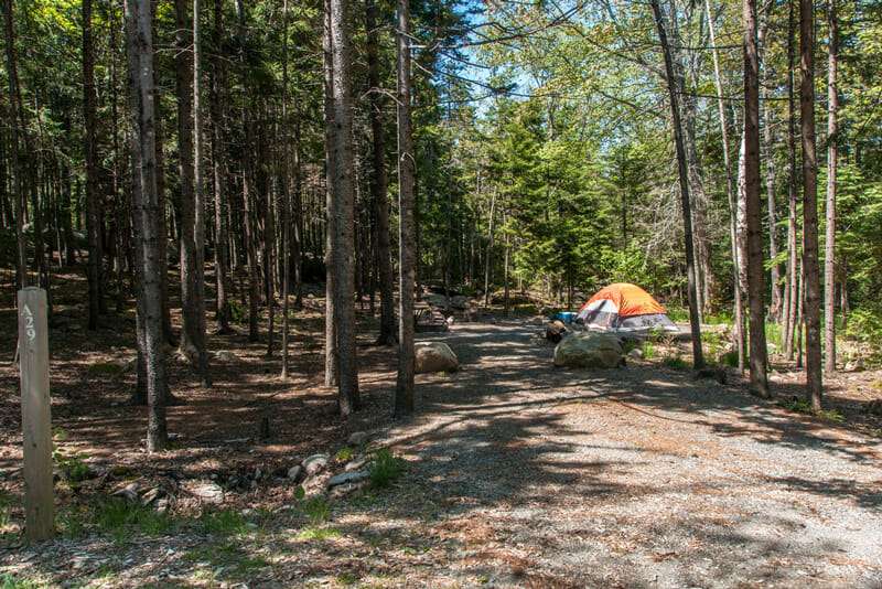 Camping In Acadia National Park