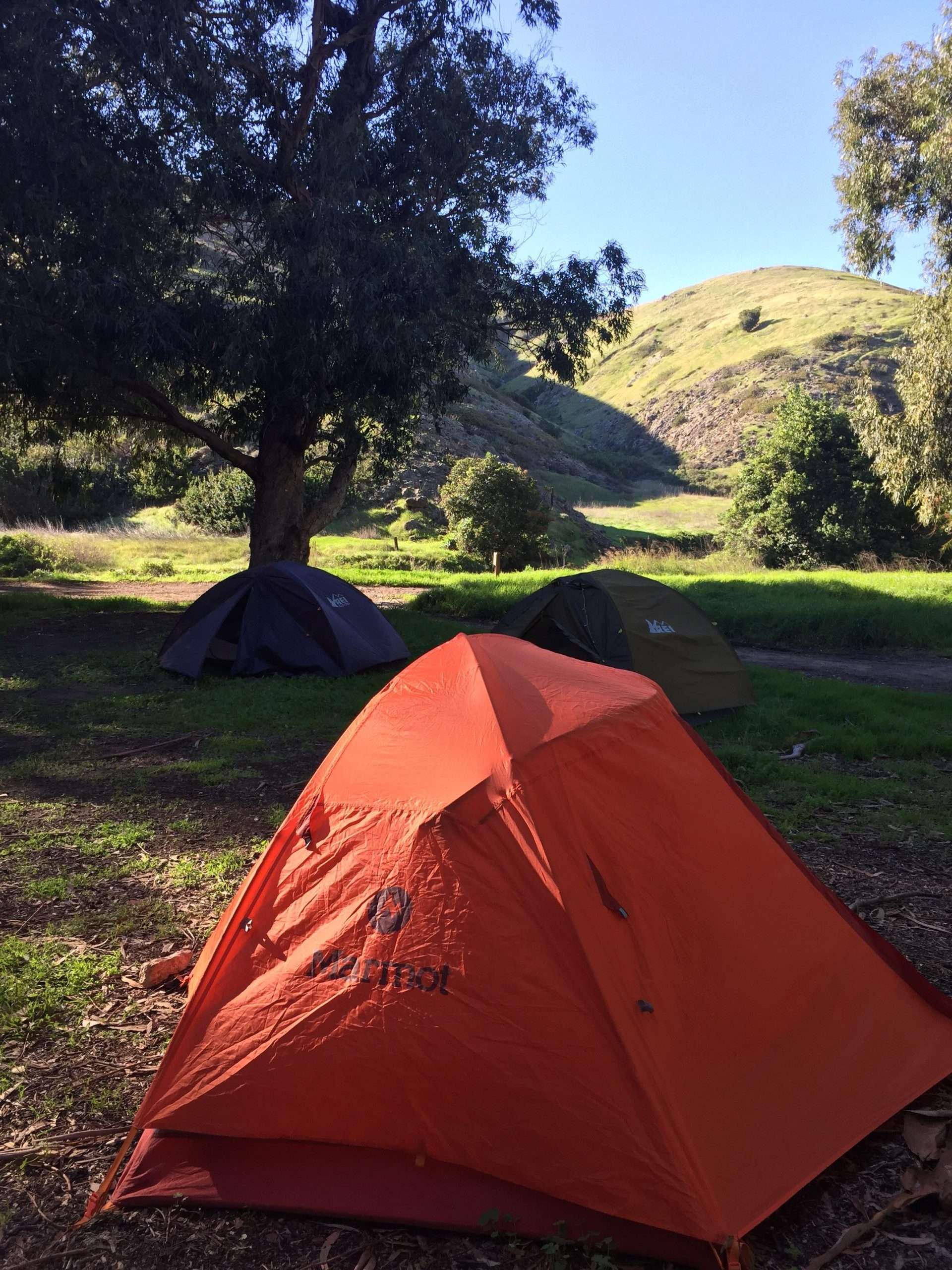 Camping in Channel Islands National Park. : backpacking