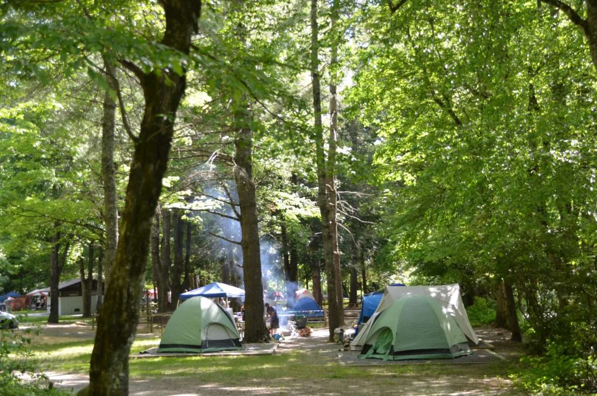 Camping in Deep Creek, Great Smoky Mountains National Park