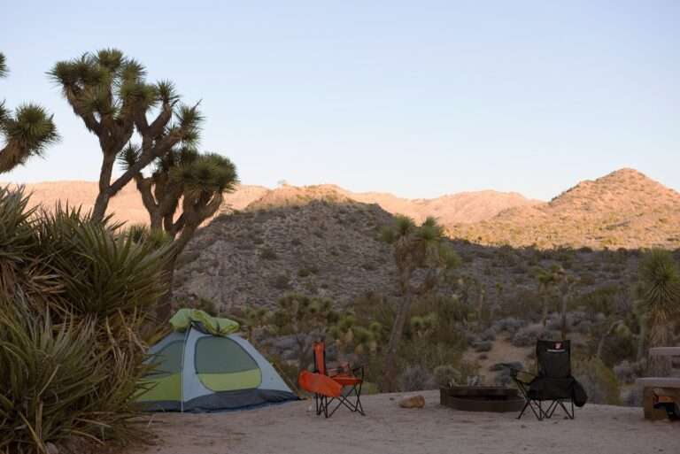 Camping in Joshua Tree National Park: The Ultimate Guide ...