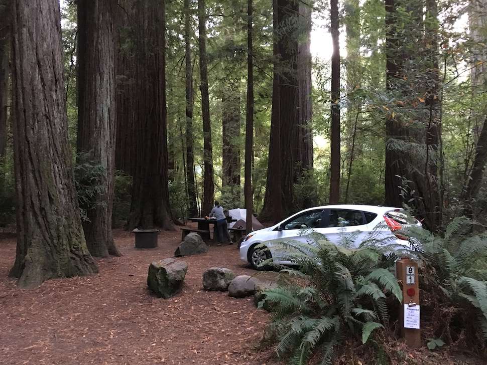 Camping in Redwoods NP: The Jedediah Smith Campground