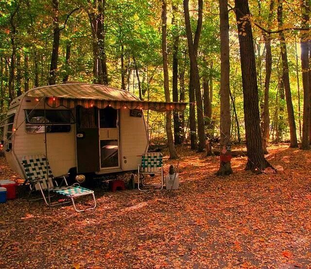 Camping in the fall, how pretty &  cozy!