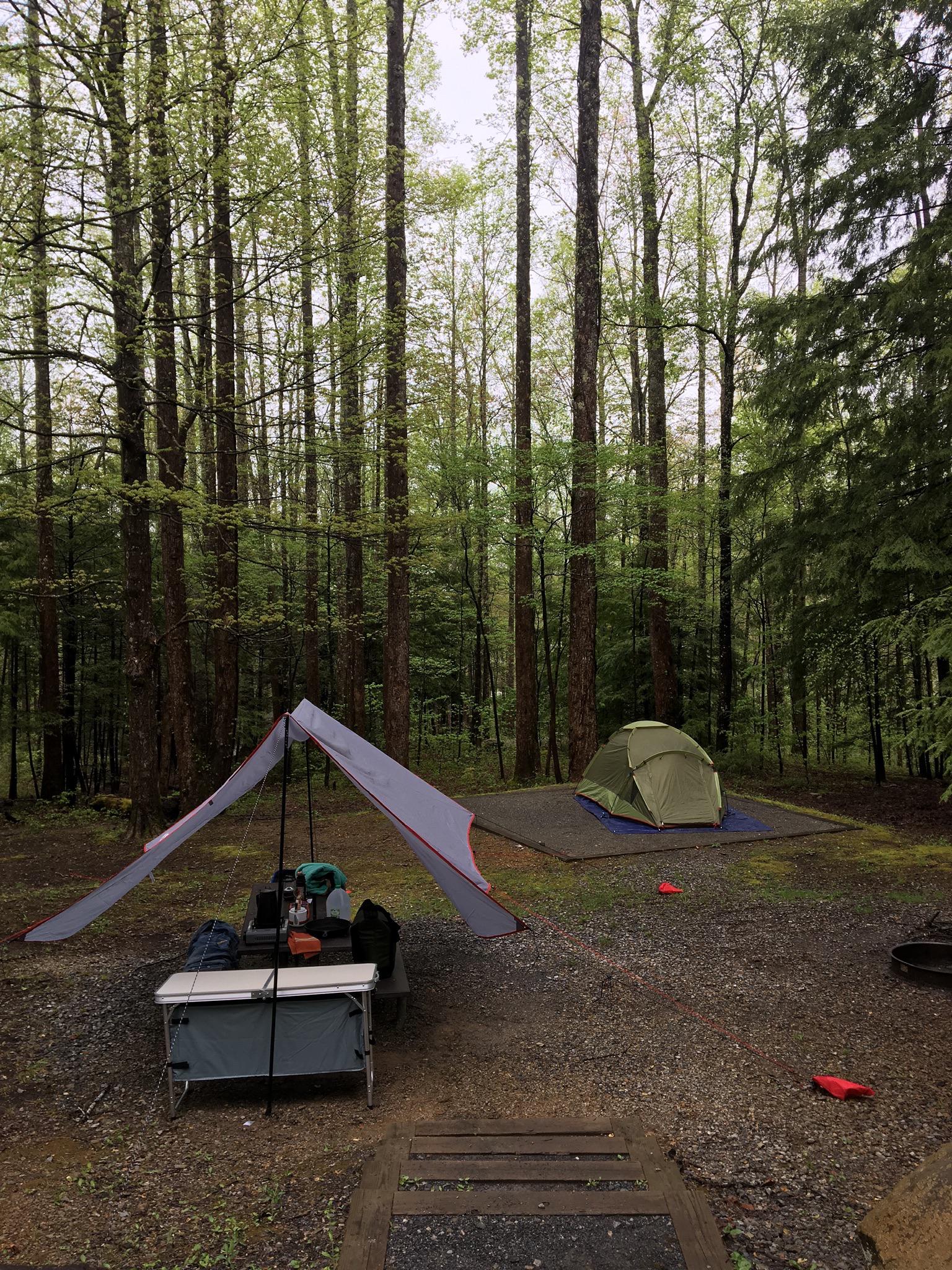 Camping last April at Cosby campground in the Smoky Mountain National ...