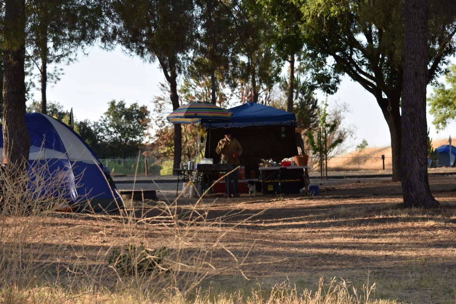 Camping near Fresno, CA: Your Guide to Central California ...