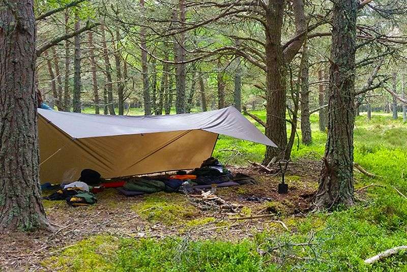 Camping Tarps: How to choose the best tarp for camping ...