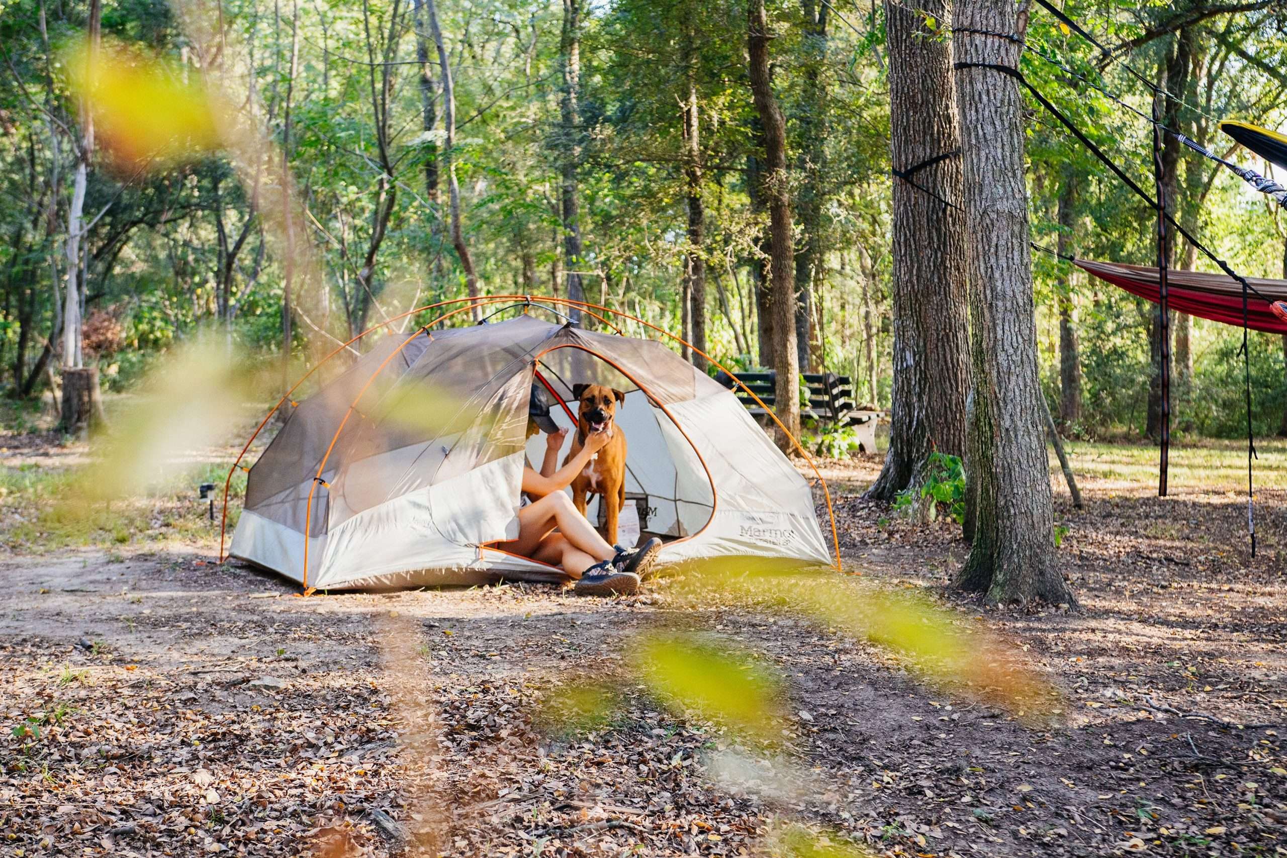 Can You Camp for Free in Texas?