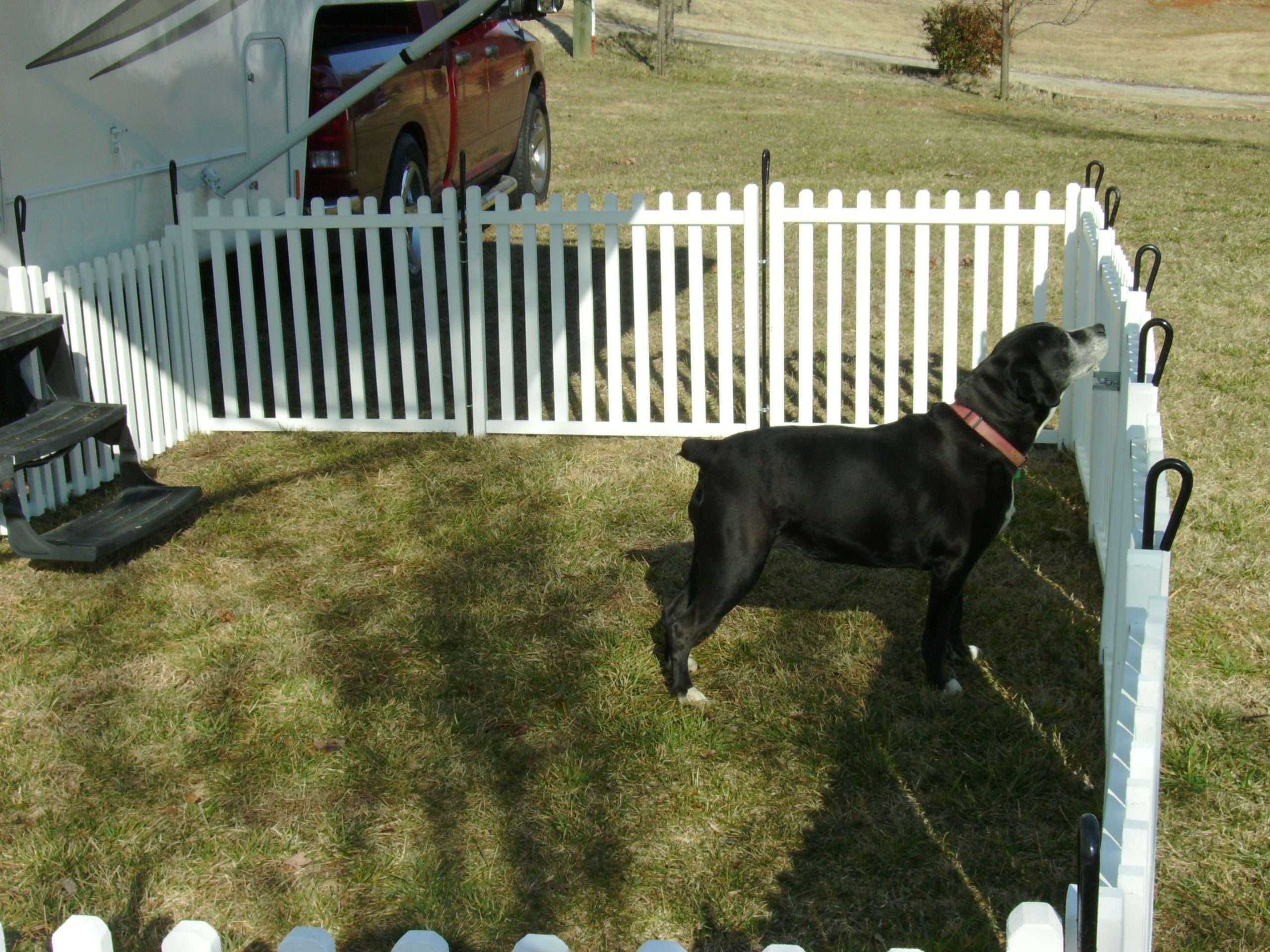 Check out how Picket Play makes it easy for pet owners and ...