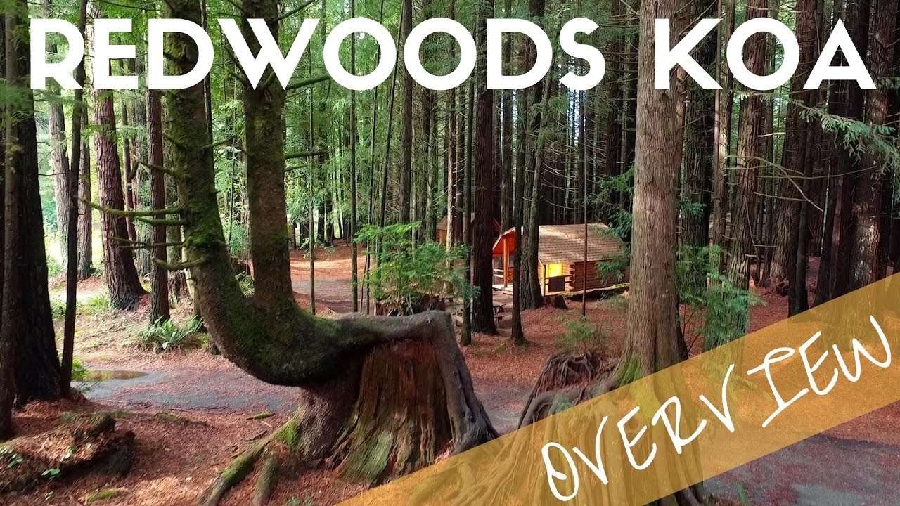 Crescent City Redwoods KOA Campground Overview