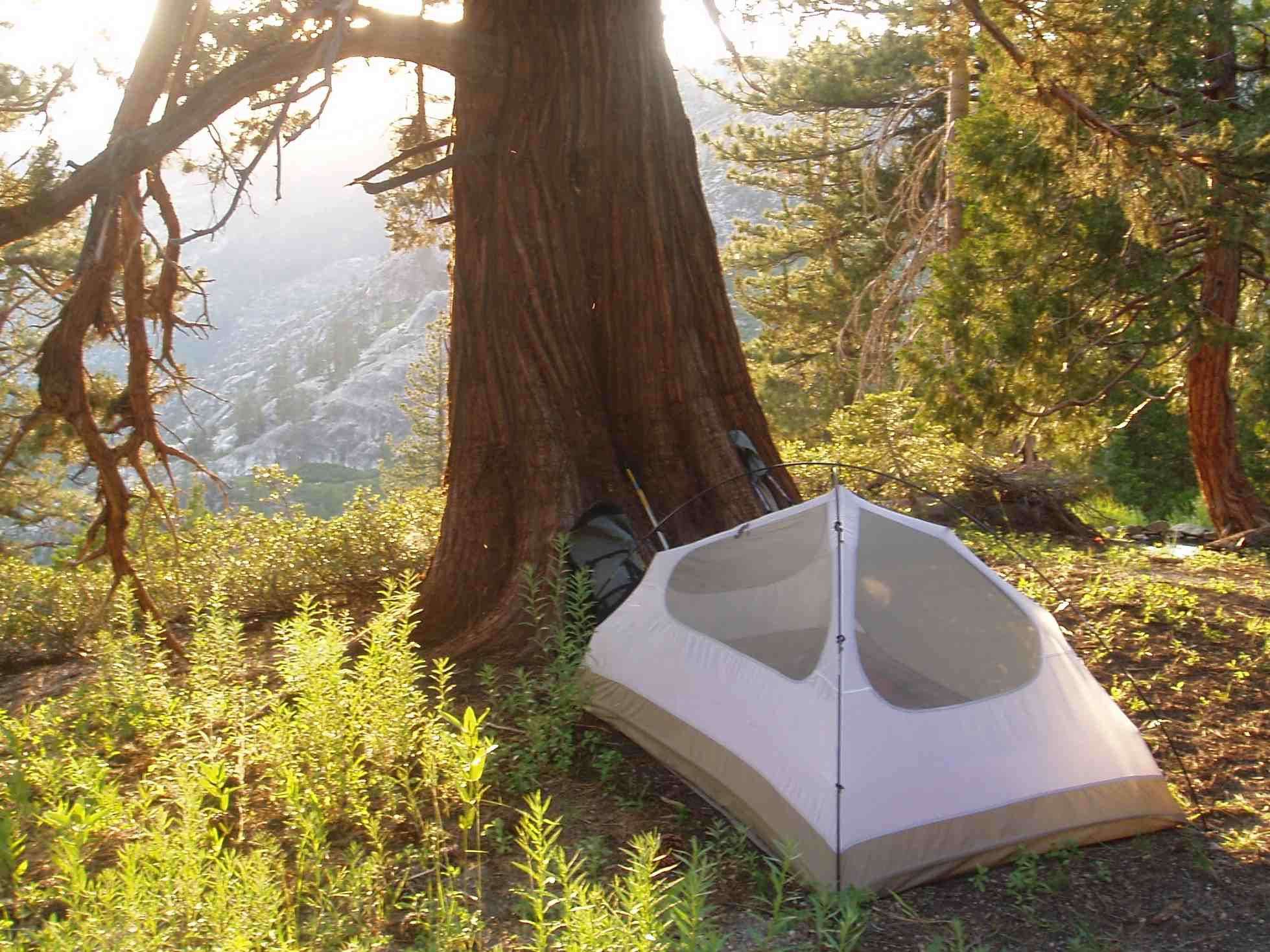 Dispersed Camping in the U.S. National Forests