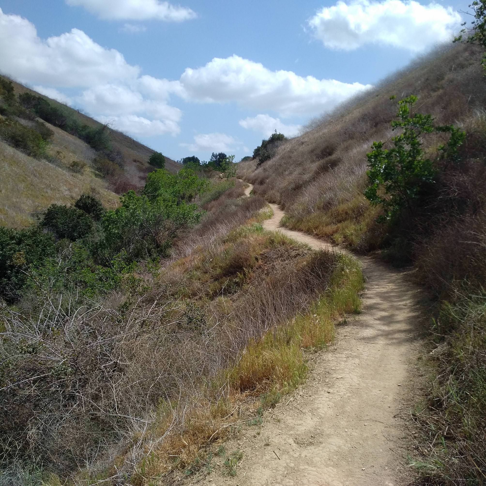 Easy Street Chino Hills State Park California USA #hiking #camping # ...