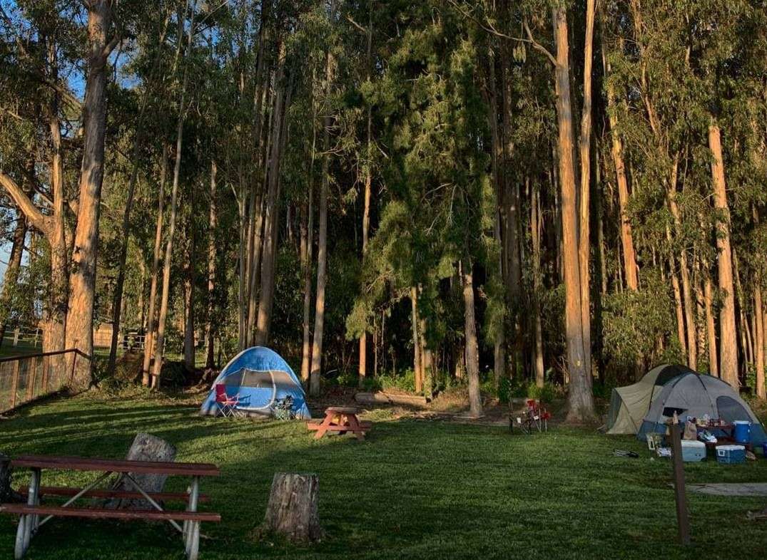 Every Camping Spot Near San Francisco You Need To Visit ...