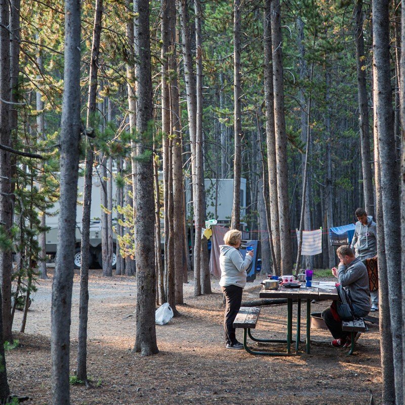 Everything You Need to Know About Camping in Yellowstone