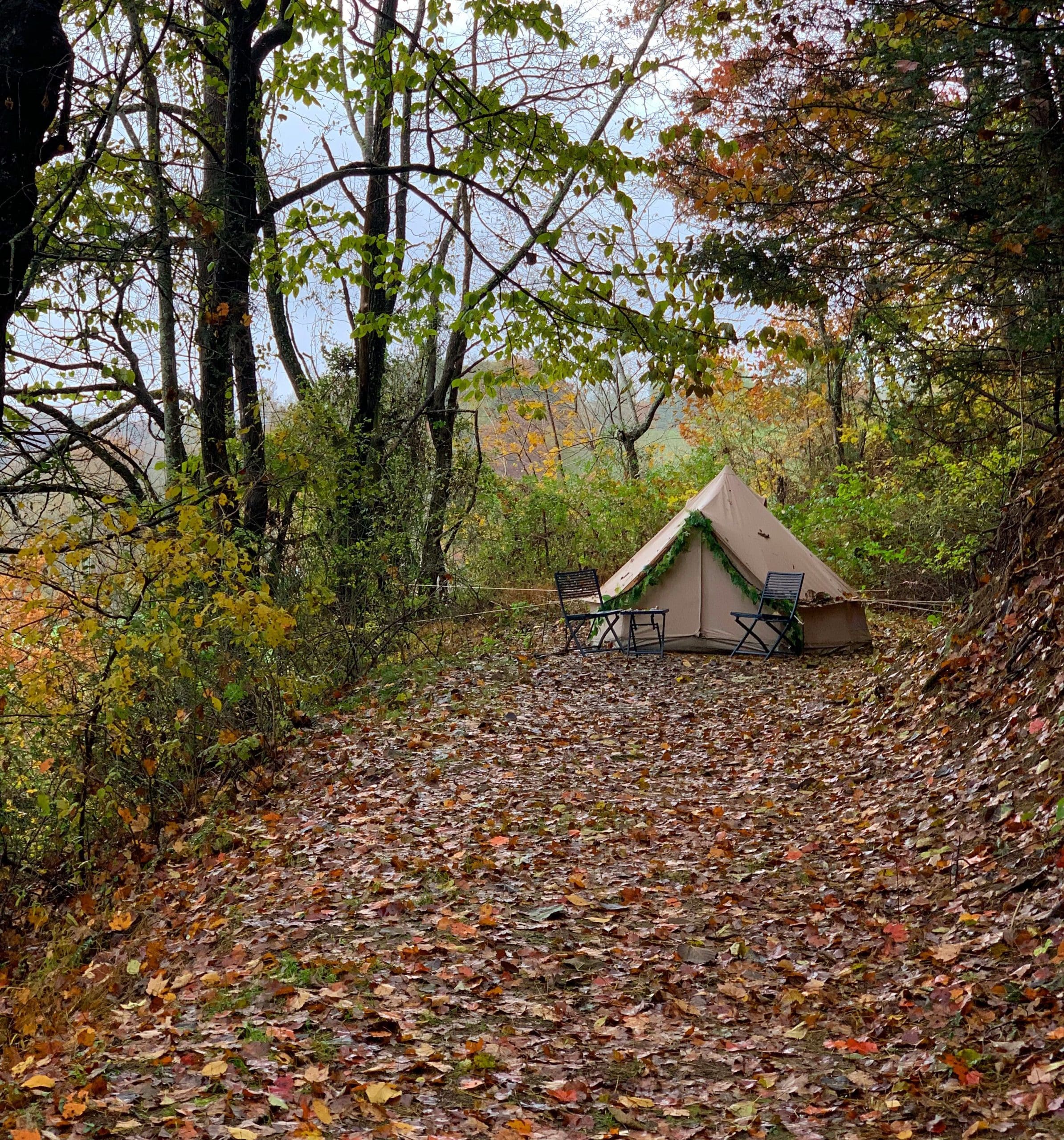 Fall colors at Asheville Glamping