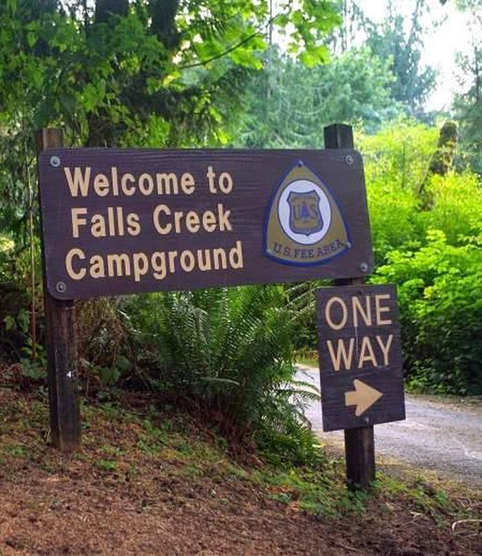 Falls Creek Campground, Olympic National Forest