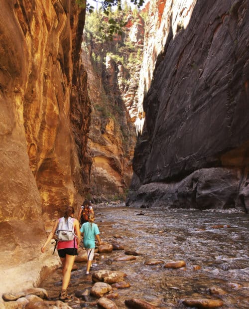 Hiking and Camping in Zion National Park, UT