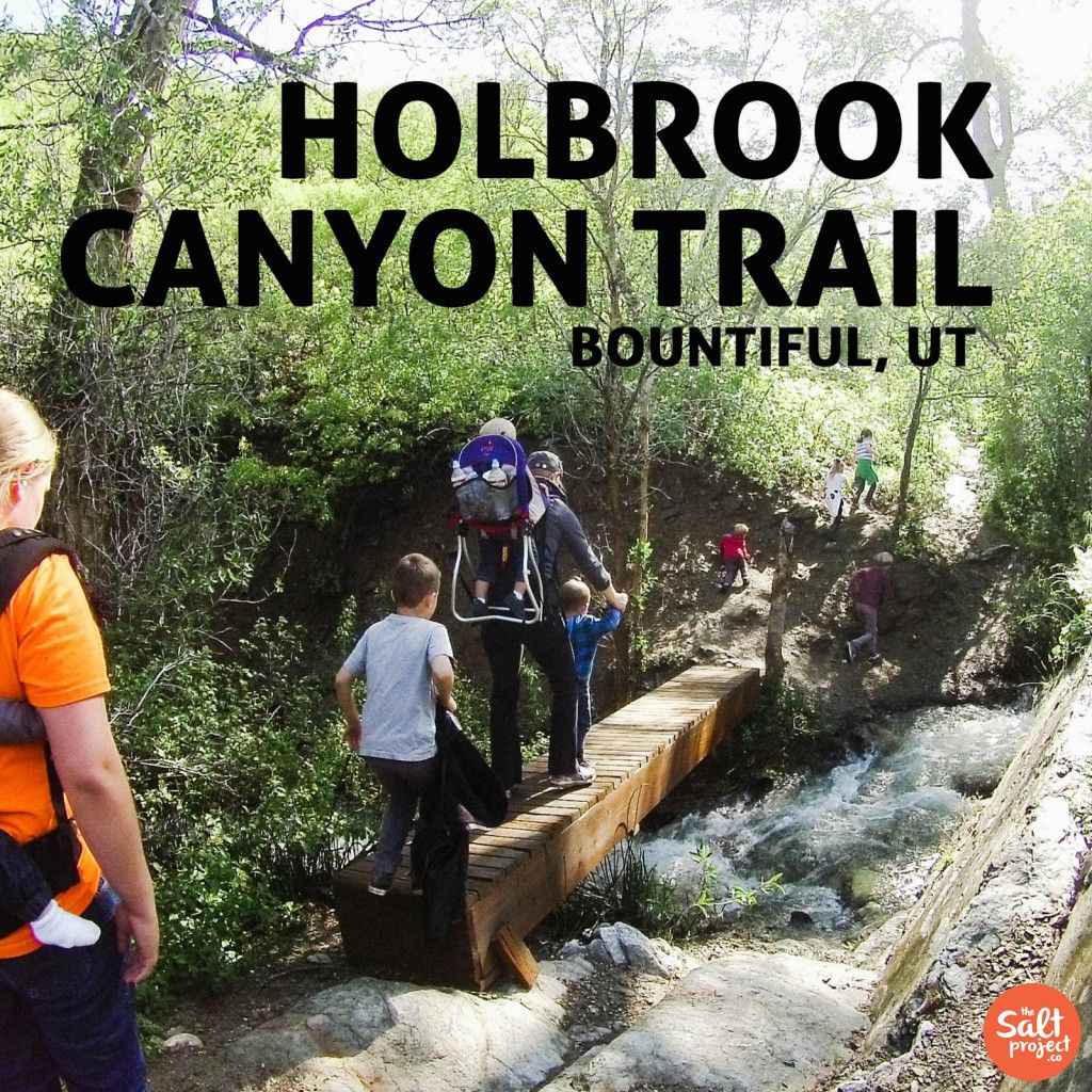 Holbrook Canyon Trail