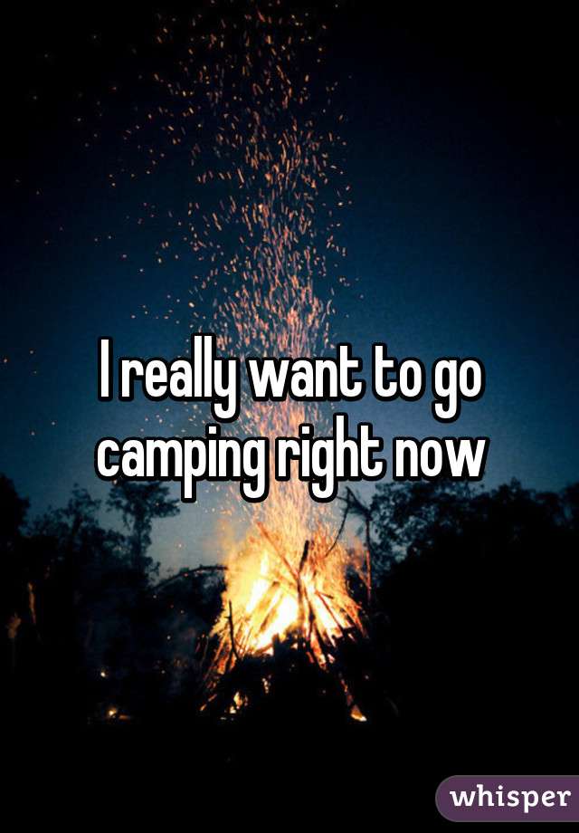 I really want to go camping right now