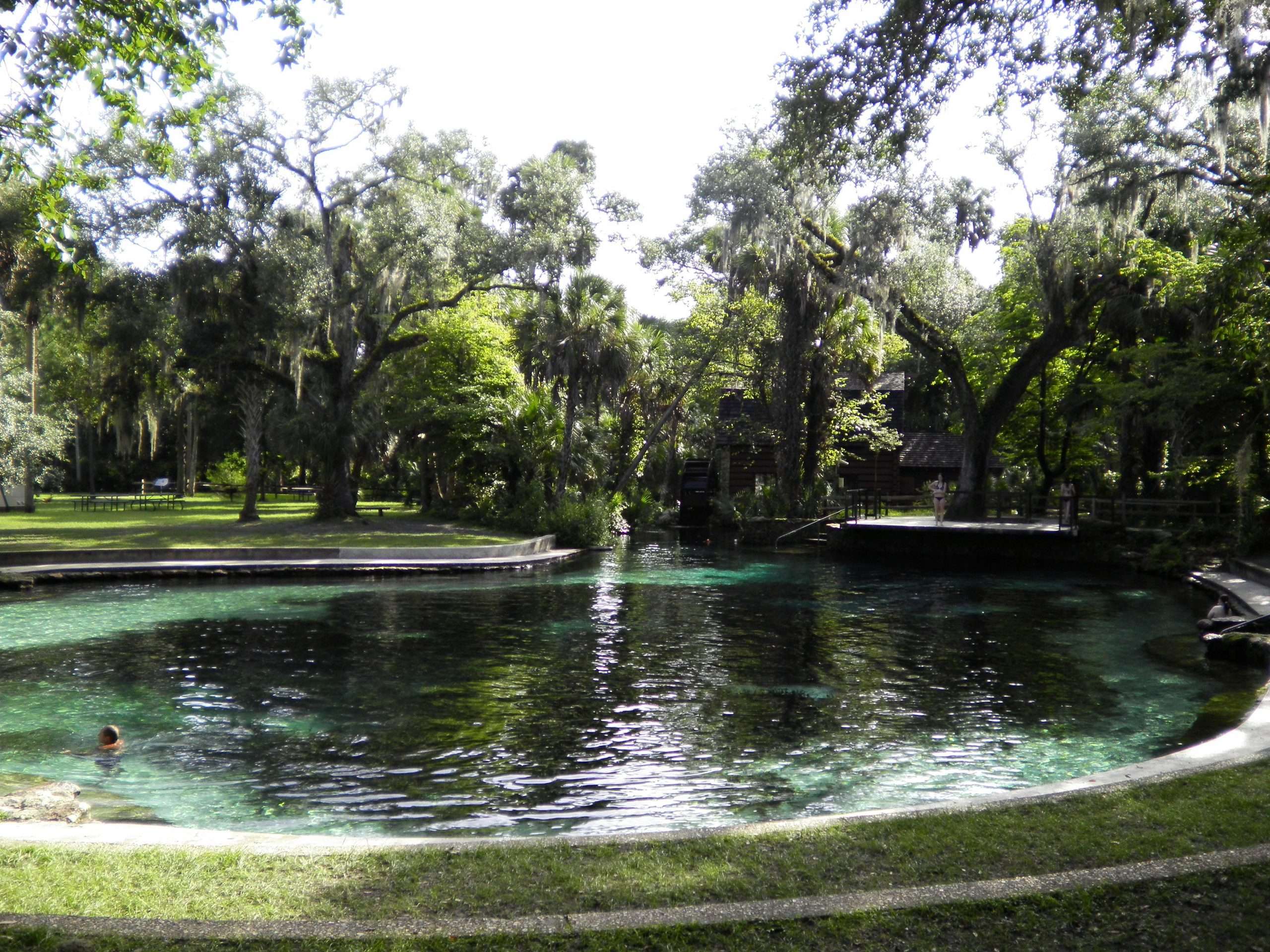 Juniper Springs in the Ocala National Forest in Florida.