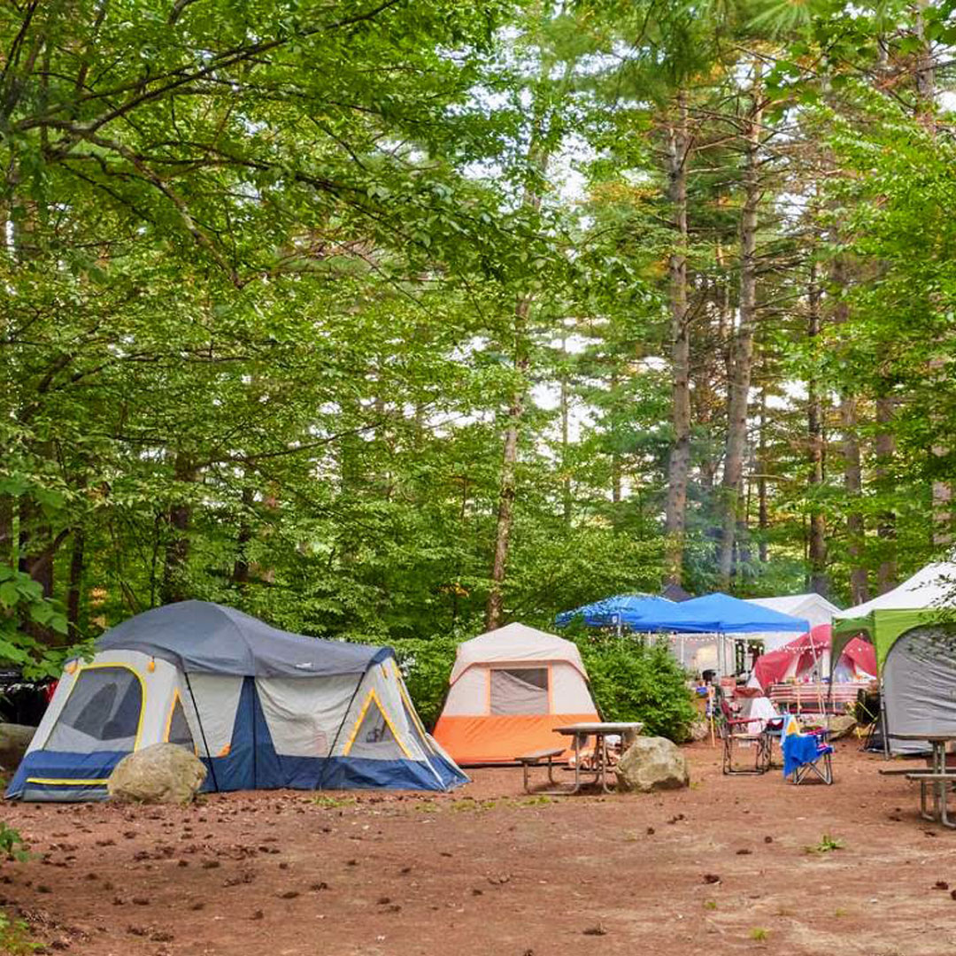 Lake George Escape: Varied Camping Options for New &  Seasoned Campers