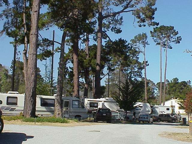 Monterey Pines RV Park, CA