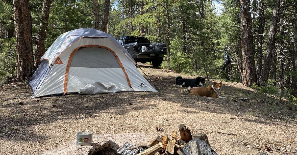Mount Herman Road Dispersed Camping, CO