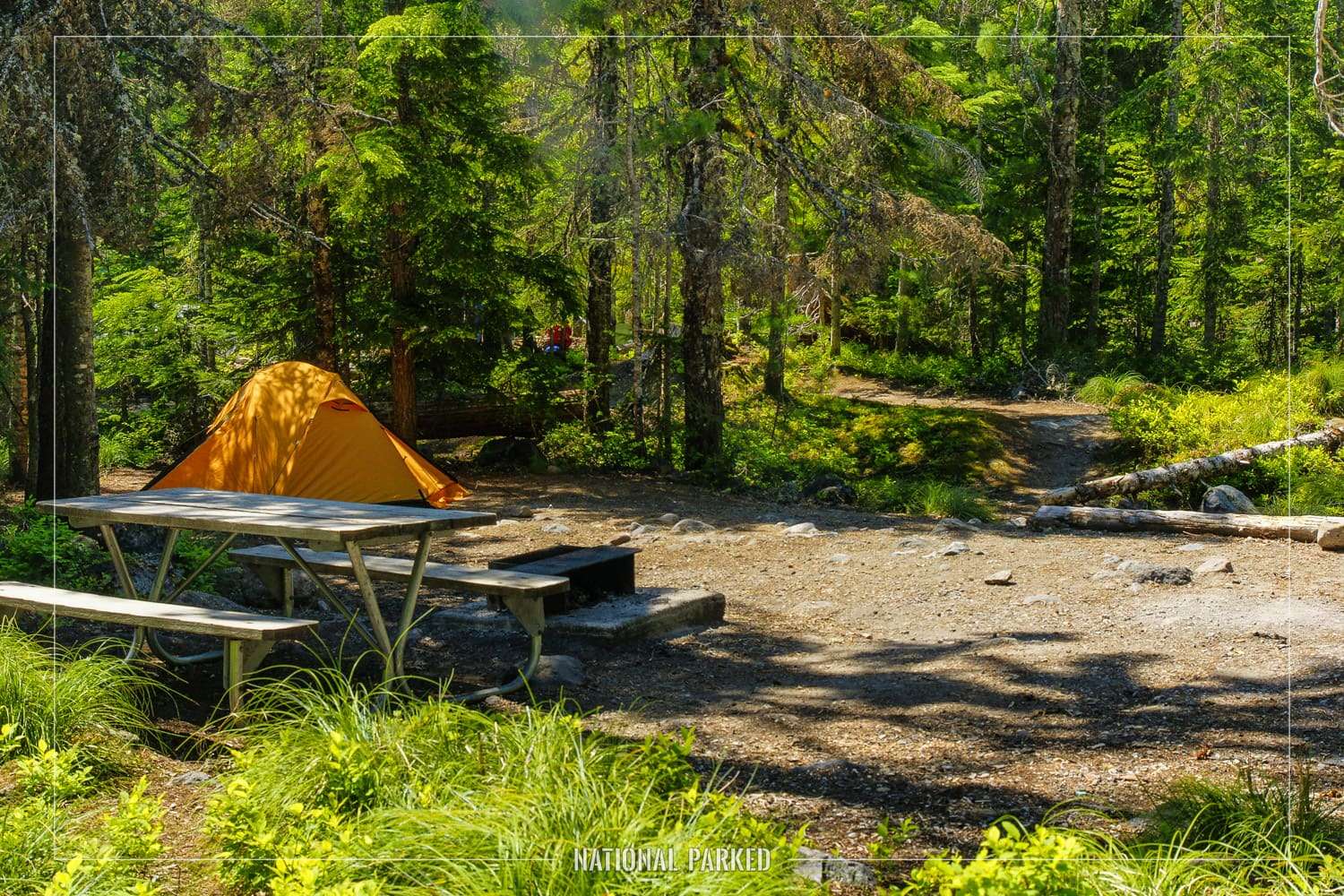 Mount Rainier National Park Campgrounds